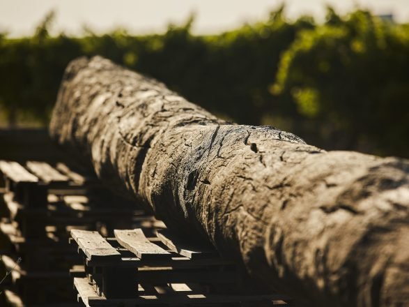 bodega-menade-vino-blanco-rueda3
